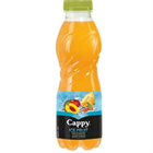 (DRS) CAPPY ICE FRUIT GYÜMÖLCSITAL 500ML ŐSZIBARACK-SÁRGADINNYE (12)