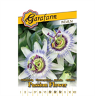 GF. PRÉMIUM VIRÁGMAG GOLGOTAVIRÁG (10)