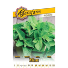 GF. PRÉMIUM FŰSZERNÖVÉNY VETŐMAG ZÖLD MENTA (10)