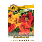 GF. PRÉMIUM VIRÁGMAG SARKANTYÚKA MAGAS SZÍNKEVERÉK (10)