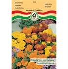 GF. VIRÁGMAG TÖRPE BÁRSONYVIRÁG PETITE SZÍNKEVERÉK (10)