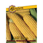 GF. CSEMEGEKUKORICA VETŐMAG MS ERICA F1 (10)