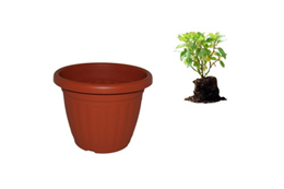 E. VIRÁGCSERÉP 60CM TERRA (10)