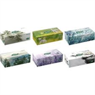 TENTO PAPÍRZSEBKENDŐ DOBOZOS BIGBOX 120DB (24)