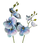 LS. SELYEMVIRÁG 5120H