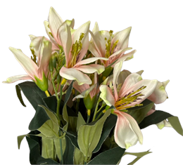 LS. SELYEMVIRÁG 5140H